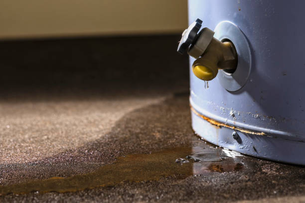 Best Carpet water damage restoration  in Oakland, CA