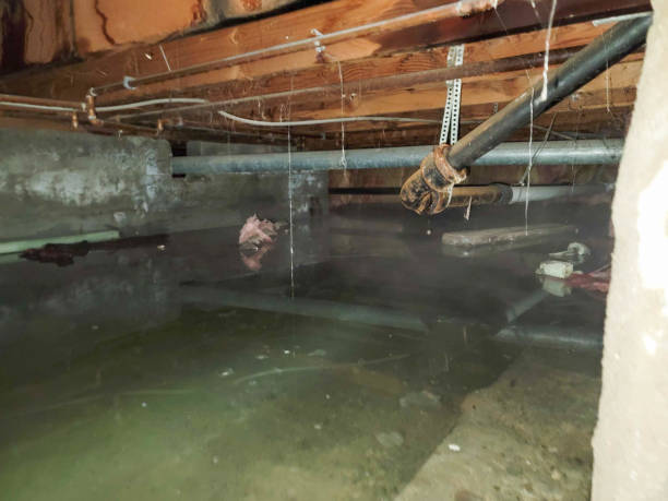 Best Professional water damage repair  in Oakland, CA
