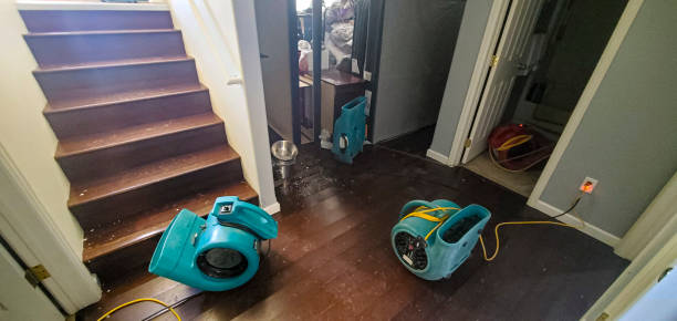 Carpet water damage restoration in Oakland, CA