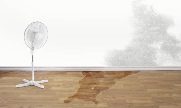  Oakland, CA Water damage restoration Pros