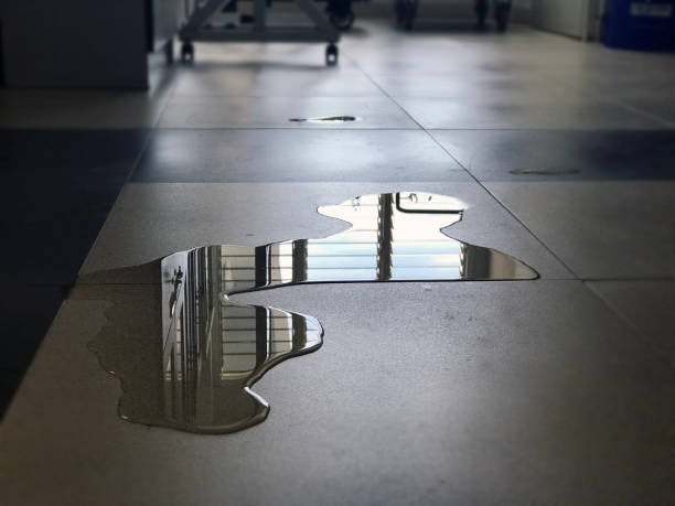 Best Water damage cleanup near me  in Oakland, CA