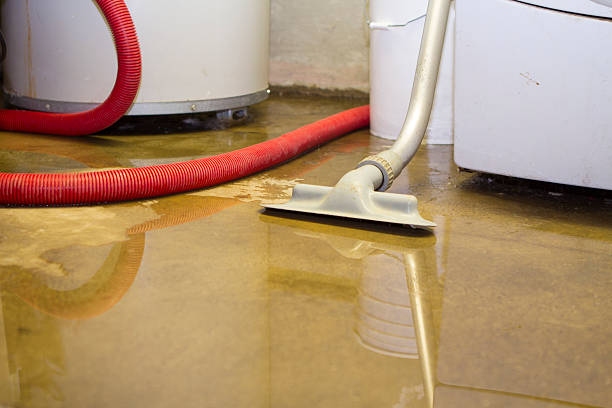 Best Mold removal after water damage  in Oakland, CA