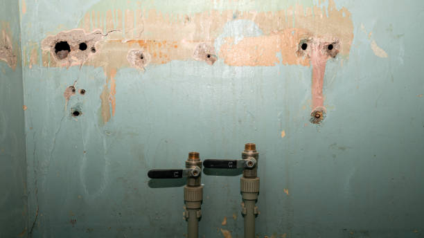 Best Local water damage restoration  in Oakland, CA